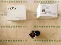IDS爱迪思 U3-3040CP-C-HQ Rev.2 工业相机