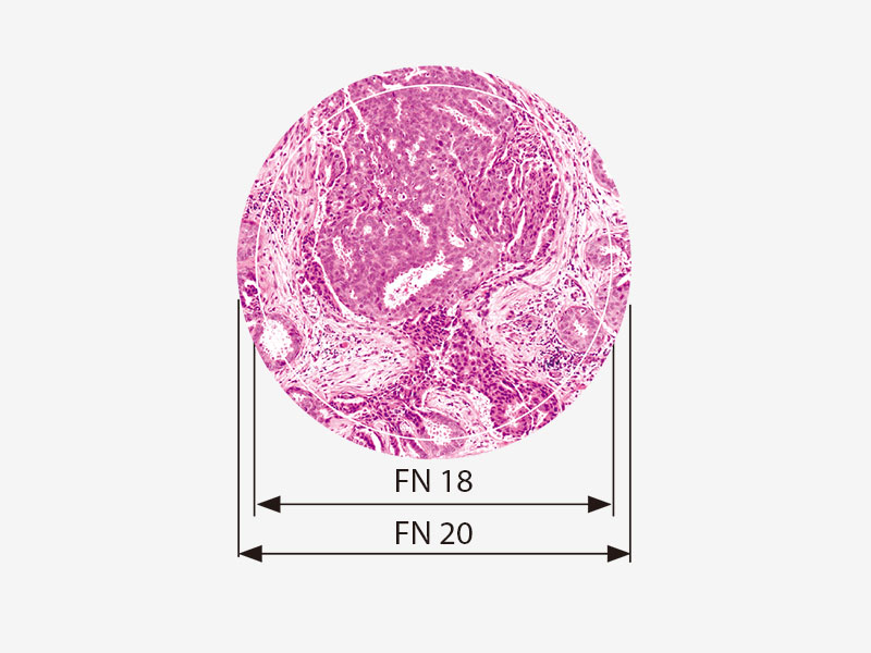 视场数(FN)为20