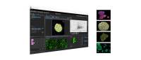 EVIDENT      奥林巴斯      NoviSight     3D细胞分析软件