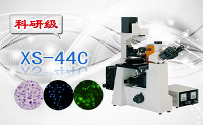 PUZHE      蒲柘     XS-44C    三目倒置荧光显微镜