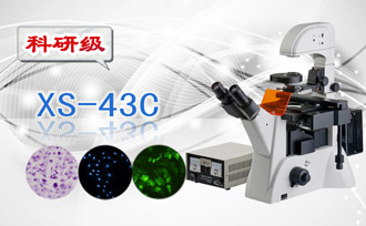PUZHE      蒲柘     XS-43C    三目倒置荧光显微镜