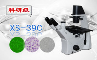PUZHE      蒲柘     XS-39C    三目倒置生物显微镜