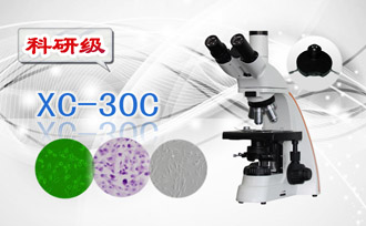 PUZHE      蒲柘     XS-30C    三目相衬显微镜