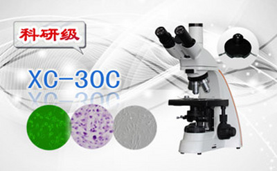 PUZHE      蒲柘     XS-30C    三目相衬显微镜