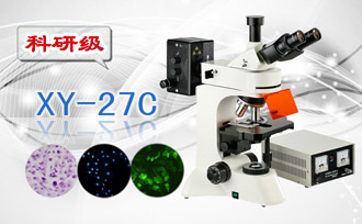 PUZHE      蒲柘     XS-27C    三目荧光显微镜