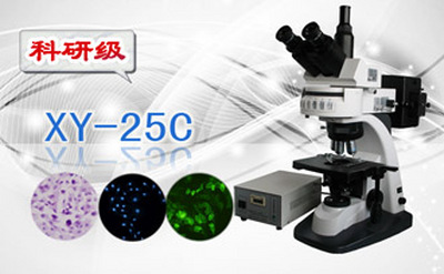 PUZHE      蒲柘     XS-25C    三目荧光显微镜
